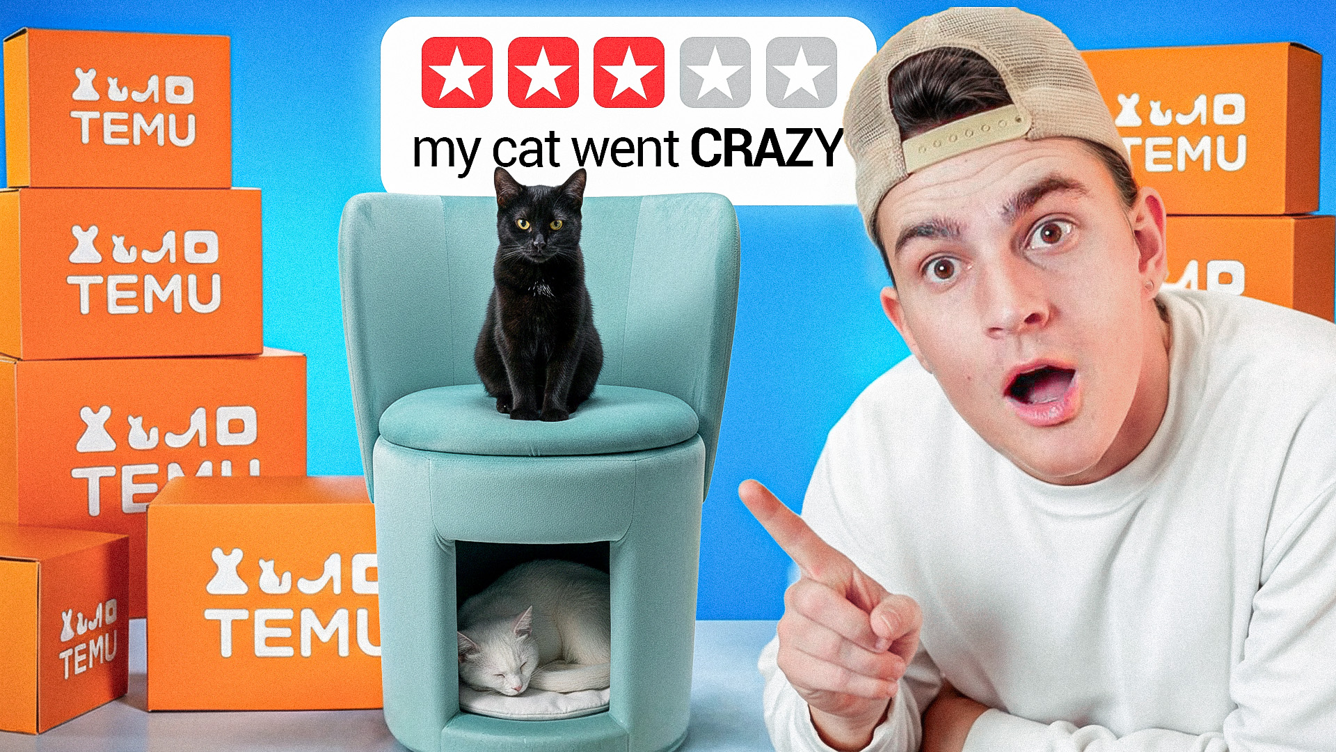 IRL thumbnail with shocked creator, Temu boxes and 'my cat went CRAZY' review headline.
